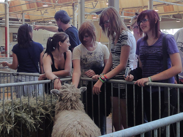 August 26, 2010