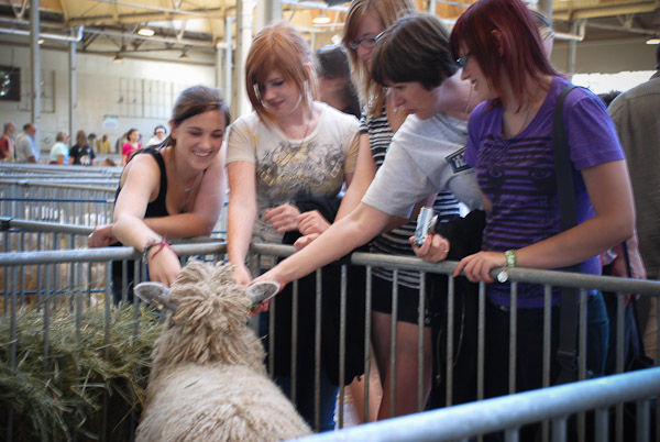 August 26, 2010